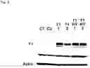 Fig. 05 - Method of extending life span
