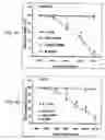 Fig. 04 - Method for treating prostate cancer using siRNA duplex for androgen receptor