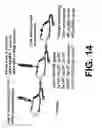 Fig. 20 - Method for treating prostate cancer using siRNA duplex for androgen receptor
