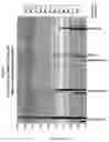 Fig. 04 - New transfection reagents