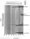 Fig. 05 - New transfection reagents