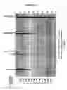 Fig. 04 - Transfection reagents