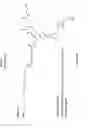 Fig. 05 - Nucleic acid ligand complexes