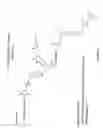 Fig. 10 - Nucleic acid ligand complexes