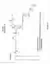 Fig. 13 - Nucleic acid ligand complexes
