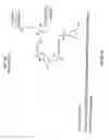 Fig. 17 - Nucleic acid ligand complexes