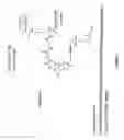Fig. 19 - Nucleic acid ligand complexes
