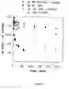 Fig. 33 - Nucleic acid ligand complexes