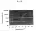 Fig. 14 - Hyaluronic acid modification product