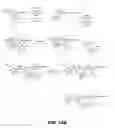 Fig. 12 - Specific antagonist for both E- and P-selectins