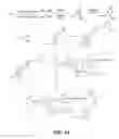 Fig. 15 - Specific antagonist for both E- and P-selectins