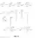 Fig. 16 - Specific antagonist for both E- and P-selectins