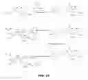 Fig. 17 - Specific antagonist for both E- and P-selectins