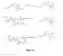 Fig. 18 - Specific antagonist for both E- and P-selectins