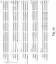 Fig. 02 - Chondroitin synthase gene and methods of making and using same