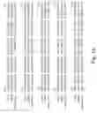 Fig. 03 - Chondroitin synthase gene and methods of making and using same