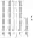 Fig. 05 - Chondroitin synthase gene and methods of making and using same