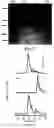 Fig. 06 - Chondroitin synthase gene and methods of making and using same