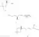 Fig. 46 - Immunomodulatory compounds and methods of use thereof
