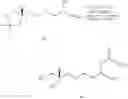 Fig. 47 - Immunomodulatory compounds and methods of use thereof