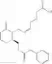 Fig. 22 - Piperidinyl prostaglandin E analogs