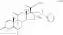 Fig. 22 - Pharmaceutical formulation for administration by inhalation comprising an androstane derivative and a beta-2-adrenoreceptor for the treatment of inflammatory and allergic conditions
