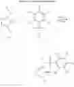 Fig. 25 - N-substituted benzene sulfonamides