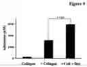Fig. 10 - Pharmaceutical compositions comprising a multifunctional phosphodiesterase inhibitor and an adenosine uptake inhibitor