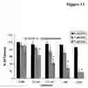 Fig. 12 - Pharmaceutical compositions comprising a multifunctional phosphodiesterase inhibitor and an adenosine uptake inhibitor