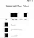 Fig. 14 - Pharmaceutical compositions comprising a multifunctional phosphodiesterase inhibitor and an adenosine uptake inhibitor