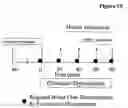 Fig. 16 - Pharmaceutical compositions comprising a multifunctional phosphodiesterase inhibitor and an adenosine uptake inhibitor