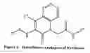 Fig. 02 - Substituted polycyclic aryl and heteroaryl pyridones useful for selective inhibition of the coagulation cascade