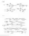 Fig. 04 - Amine compounds and use thereof