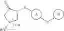 Fig. 08 - Novel thiol derivative, process for producing the same and use thereof