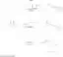 Fig. 10 - NF-κB inhibitors