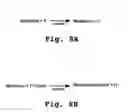 Fig. 08 - Compositions and dosage forms for enhanced absorption