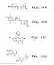 Fig. 25 - Compositions and dosage forms for enhanced absorption