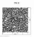 Fig. 03 - Rubber composition and process for production thereof
