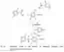 Fig. 09 - Oligomers and polymers containing sulfinate groups, and method for producing the same