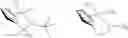 Fig. 02 - Olefin polymerization in the presence of a dehydrogenation catalyst