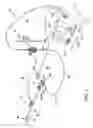 Fig. 02 - Cannulation system and related methods