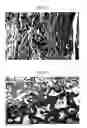 Fig. 16 - Pathological tissue mapping
