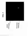 Fig. 02 - Apparatus and methods for imaging using an anatomical positioning system