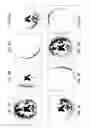 Fig. 12 - Method and apparatus for phase-sensitive magnetic resonance imaging