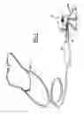 Fig. 02 - Apparatus for screening and diagnosing by dual stethoscopic and Doppler detection
