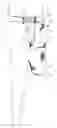 Fig. 01 - Above knee shrinker