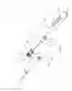 Fig. 09 - Intravenous catheter device