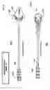 Fig. 05 - Device for subcutaneous infusion of fluids