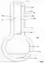 Fig. 03 - Vaginal lubrication device