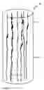 Fig. 04 - Absorbent sanitary article for absorbing body fluid